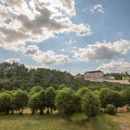 Pension V Parku チェスキー・シュテルンベルク エクステリア 写真